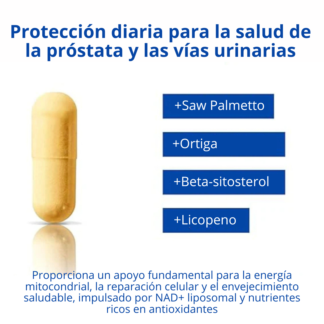 SELERB NADGENIE™ | Vigor, Energía y Rendimiento Masculino 💪🏻