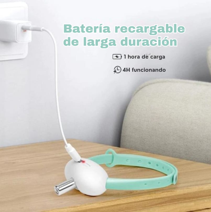 KittyChase™ | Persigue la diversión. 🐱