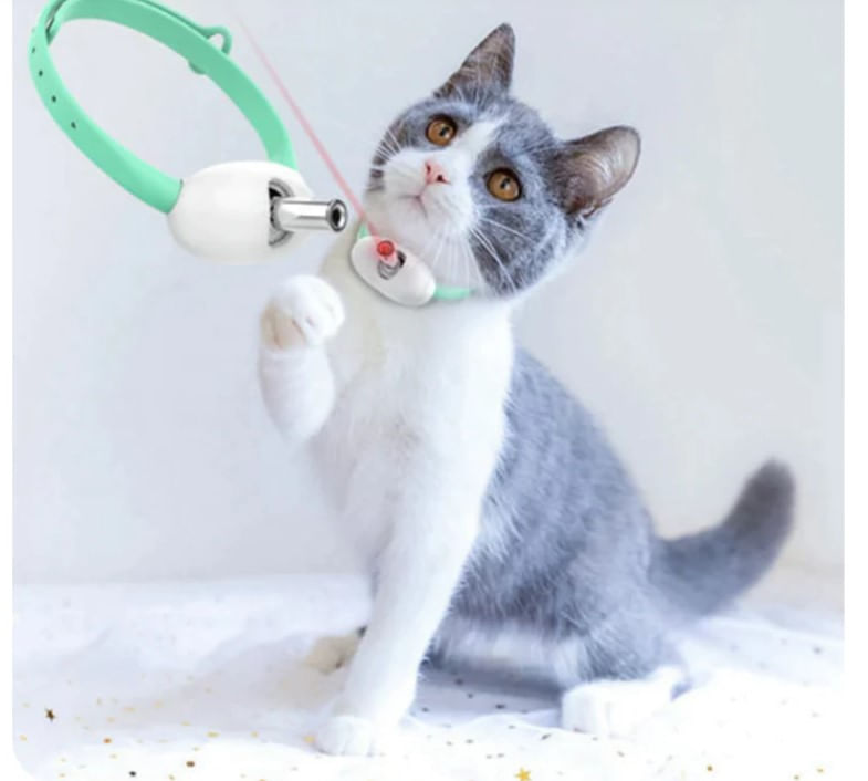 KittyChase™ | Persigue la diversión. 🐱