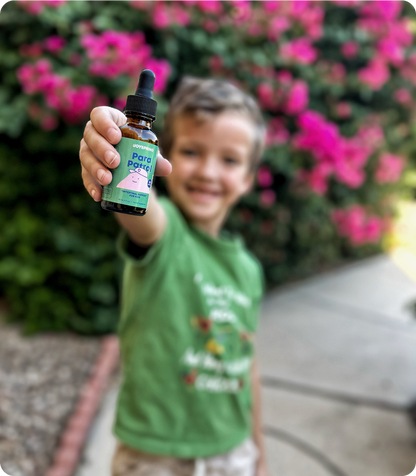 JoySpring ParaPatrol | La limpieza natural que asegura su sonrisa.