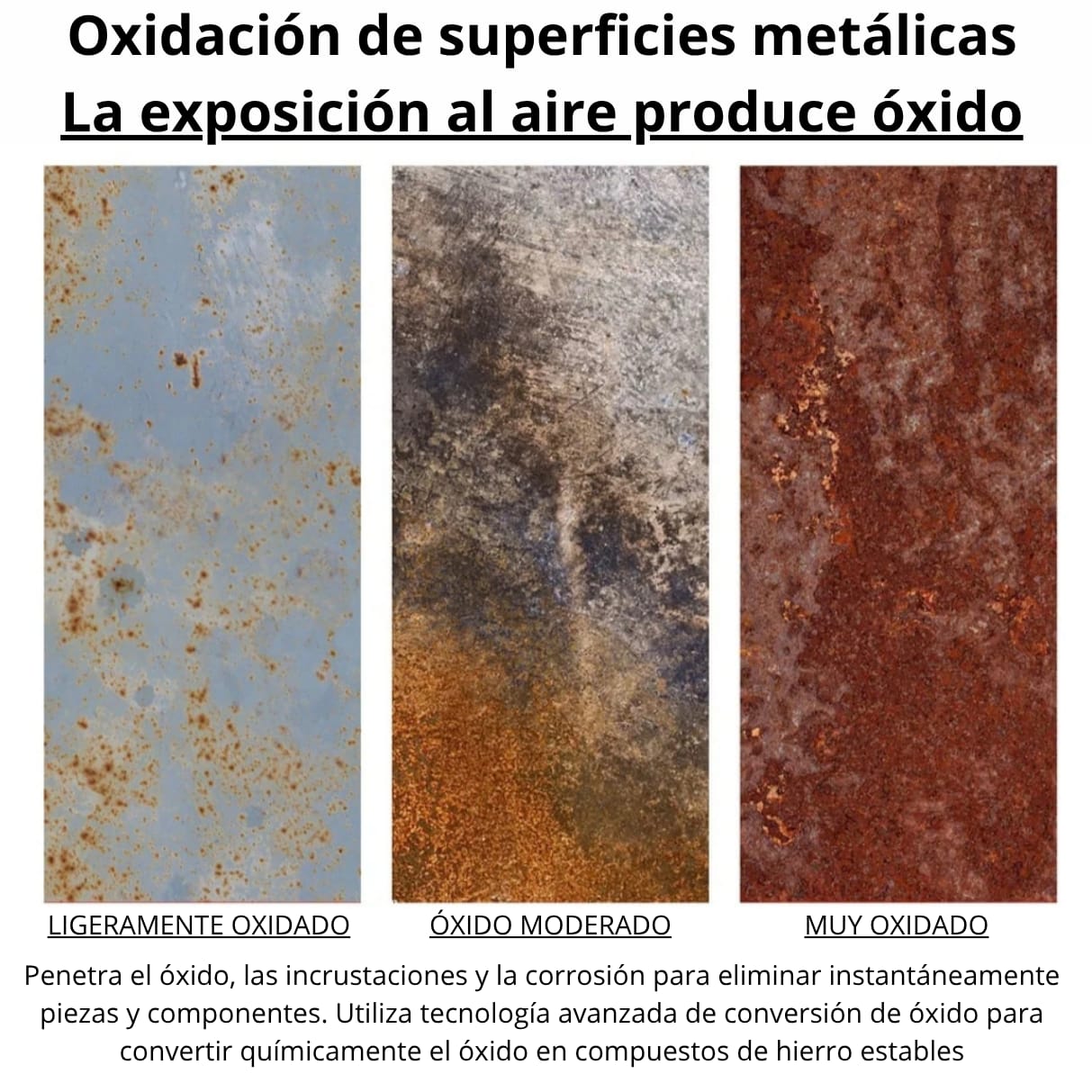 RAYHONG | EL "ASESINO" DE OXIDO + LUBRICA + PROTEGE (2x1)