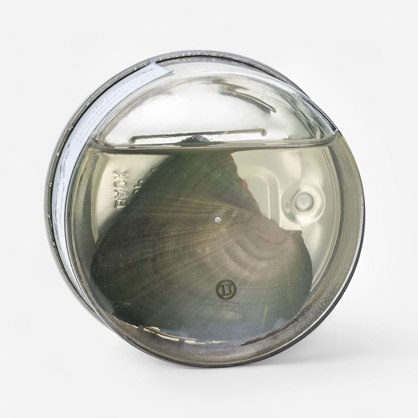 OstraSecreta™ | Descubre La Belleza Que Llevas Dentro.