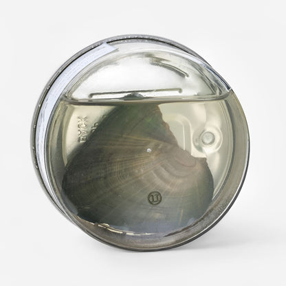 OstraSecreta™ | Descubre La Belleza Que Llevas Dentro.