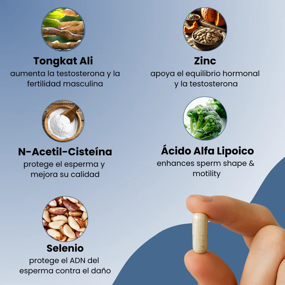 VitalForge™ | Recupera tu fuerza, energía y confianza masculina 💪