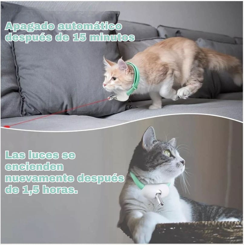 KittyChase™ | Persigue la diversión. 🐱