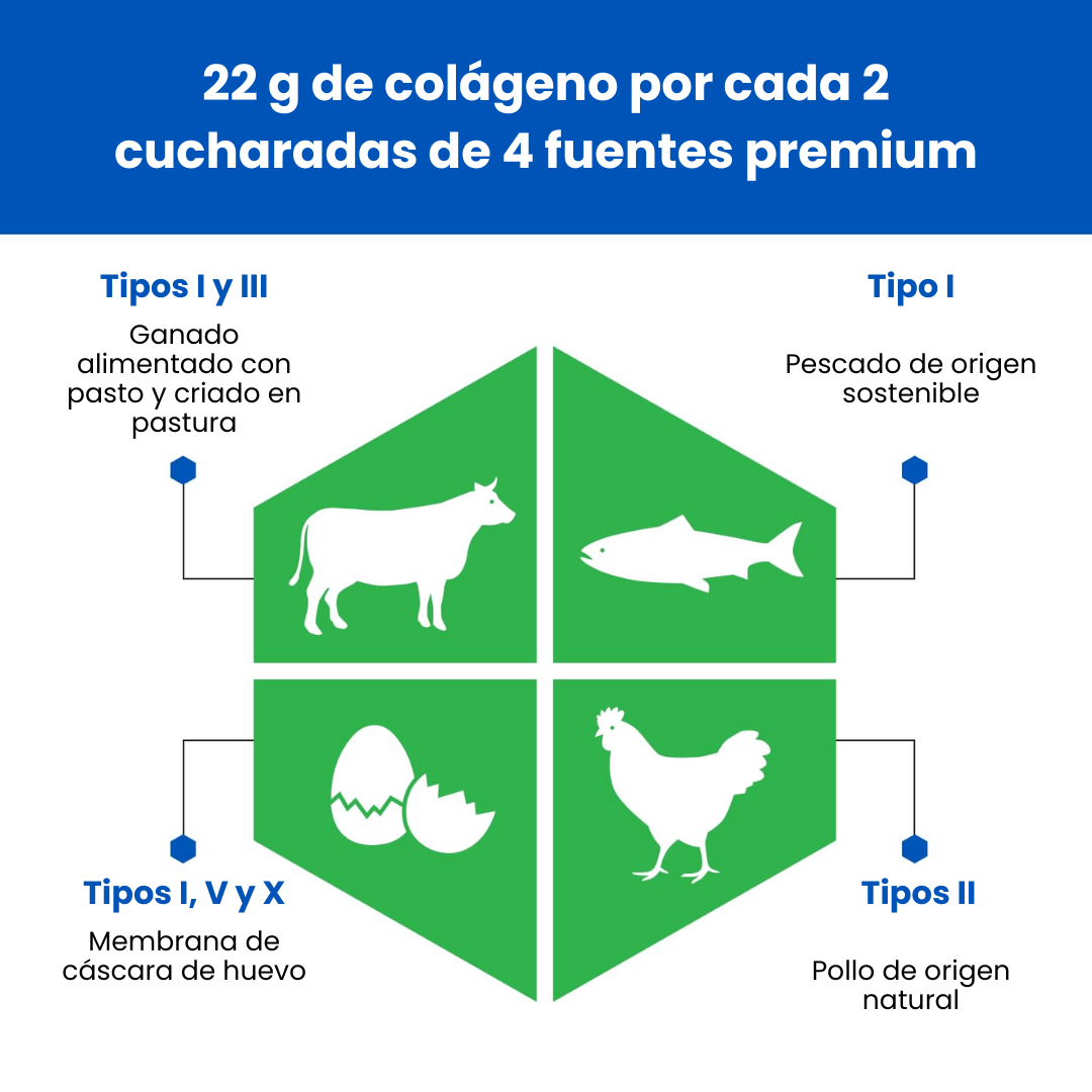 VitalKnee™ Colágeno