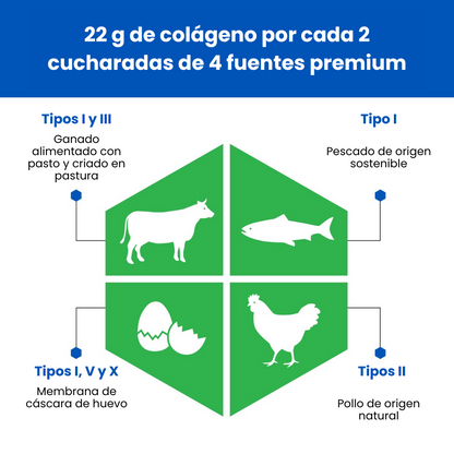 VitalKnee™ Colágeno